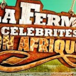 laferme TF1