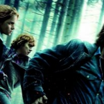 'Harry Potter et les Reliques de la mort - partie 1' sort le 24 novembre ©All Rights Reserved