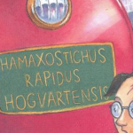 Harry Potter, couverture d'un bouquin de la saga en latin / Amazon