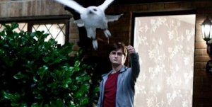 Daniel Radcliffe dans le film Harry Potter