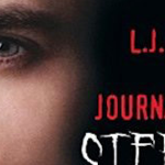 Pochette du Journal de Stefan qui sort le 2 mars / © Hachette Livre, 2011