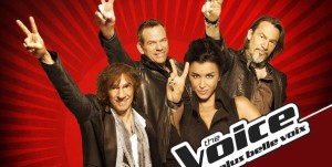 The Voice 2 cartonne sur TF1