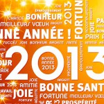 Bonne année 2013 / Année 2013 / © mozZz - Fotolia.com