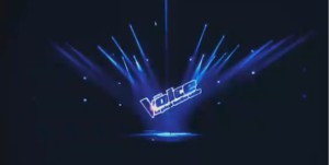 The Voice 3 sur TF1 : 3ème émission