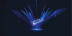 The Voice 2 sur TF1 : 3ème émission