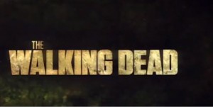 The Walking Dead sur AMC