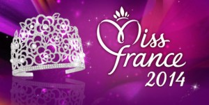 Miss France 2014 : le logo