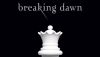 Twilight 4 Breaking Dawn : Robert Pattinson et Kristen Stewart en 3D?