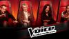 The Voice 2 : les premières stars invitées dévoilées!