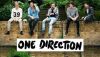 One Direction : un record VEVO pour Steal my Girl