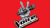 The Voice saison 5 : les détails de cette nouvelle saison