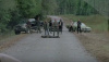 Final The Walking Dead saison 6 : oserez-vous regarder cette vidéo promo?