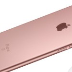 iPhone 6S rose